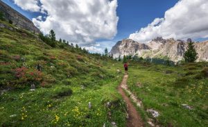 alpes francaises