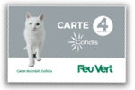 carte credit feu vert